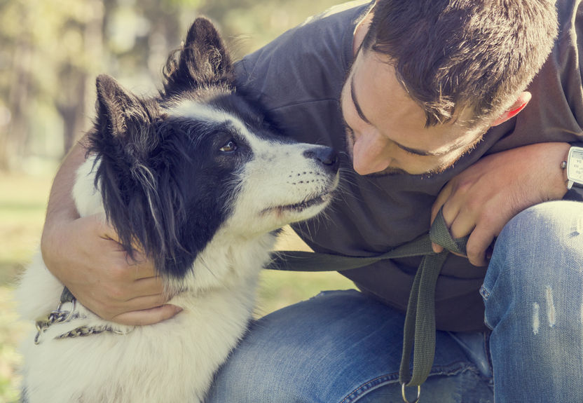 assistance dog medical treatment