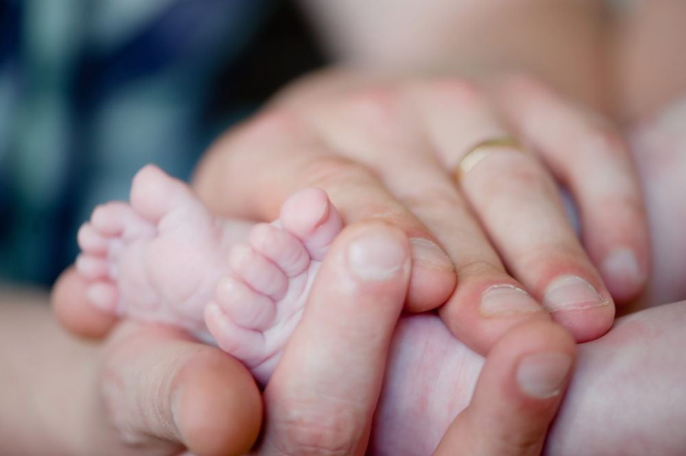 gentle,baby,feet,baby.,newborn,child