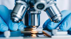 2019 cancer researcher of the year