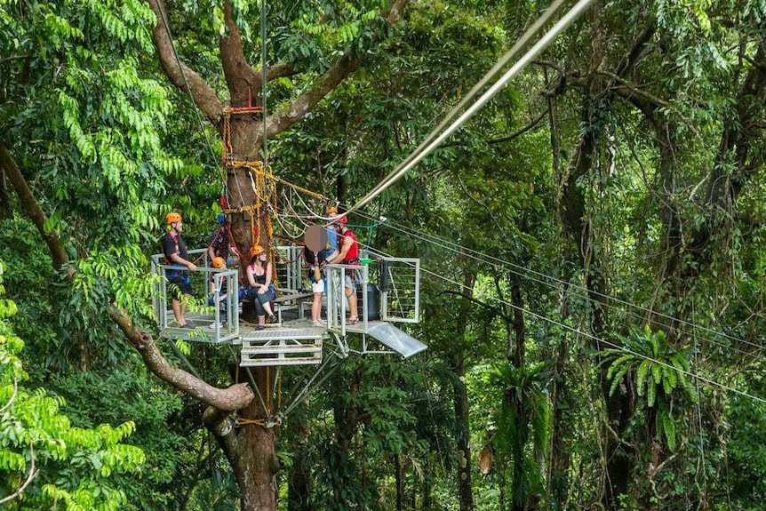 zipline death from negligence