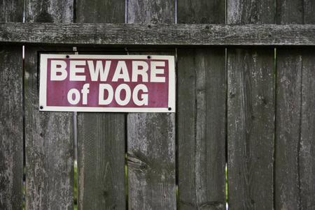 Dog animal attacks