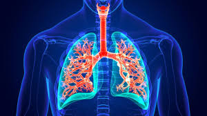 My exposure to asbestos occurred 50 years ago. How can I prove it?