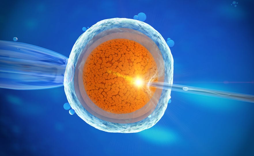 IVF treatment gone wrong Monash