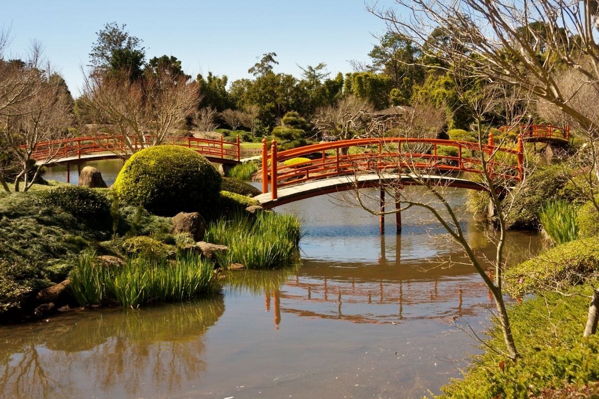 japanese garden toowoomba japanese garden toowoomba